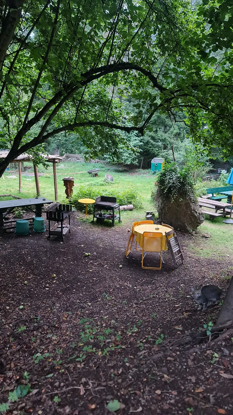 The garden in the evening under an overhanging branch, a yellow table and chairs on bare earth.