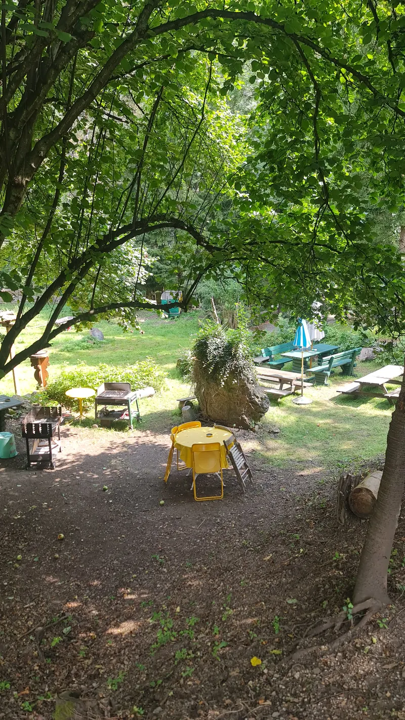 Looking down through a big tree onto garden tables and the lawn.